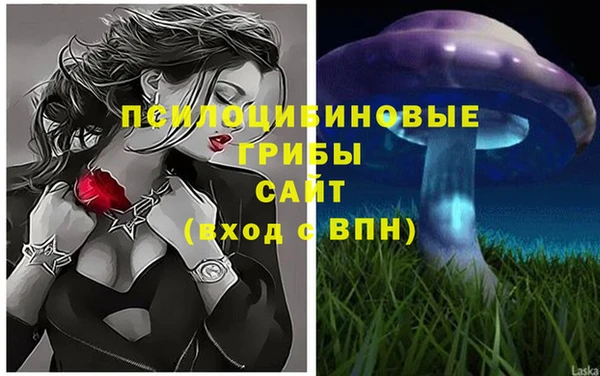 спайс Алексеевка