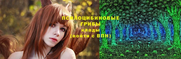 дурь Алзамай