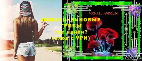 PSILOCYBIN Алексин
