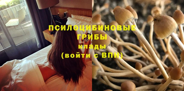 PSILOCYBIN Алексин