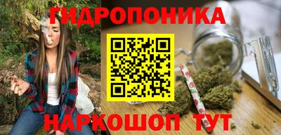 стаф Славгород