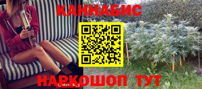 стаф Славгород