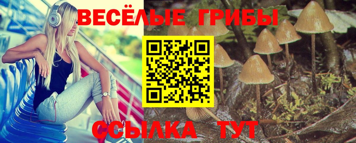 Галлюциногенные грибы Cubensis  Вход с VPN  Скопин  Псилоцибиновые грибы мухоморы 
